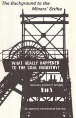<span style='font-size: 14px;'>What Really Happened to the Coal Industry?</span>