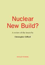 <span style='font-size: 14px;'>Nuclear New Build? - ePUB</span>